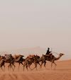 Prophet Musa (as) and the Day of Ashura