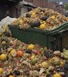 International Day of Awareness of Food Loss and Waste: A Call to Preserve Blessings and Protect the Ummah