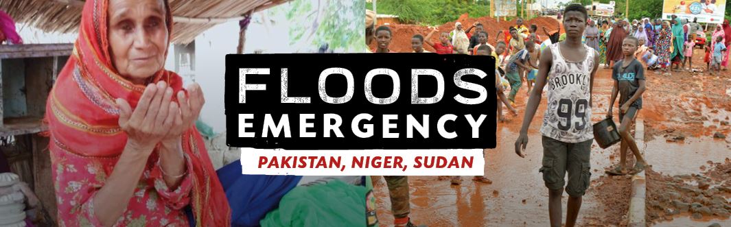 Flash Flooding Crisis: Causes and Consequences