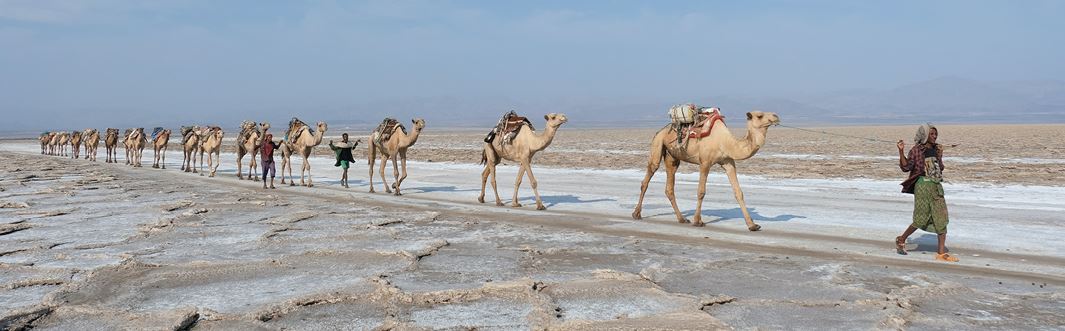 Ethiopia: Seven Beautiful Links to the Messenger of Allah (saw)